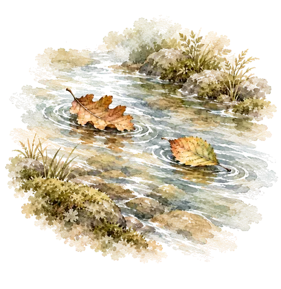 Watercolor of two leaves floating apart on a clear stream